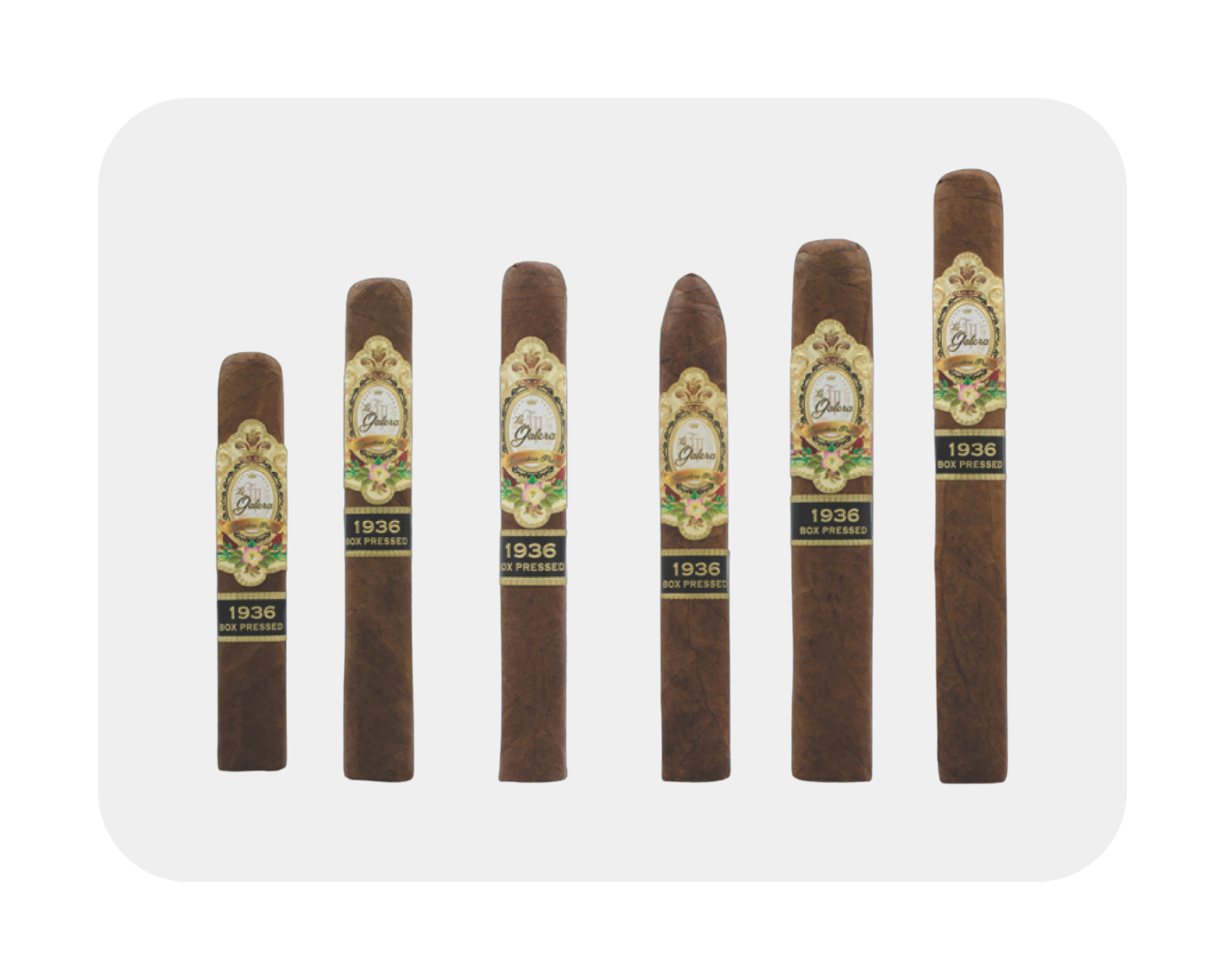 La Galera - Cigar Square – Qatar